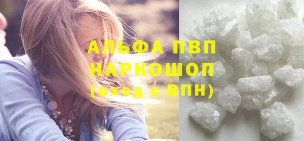 PSILOCYBIN Беломорск