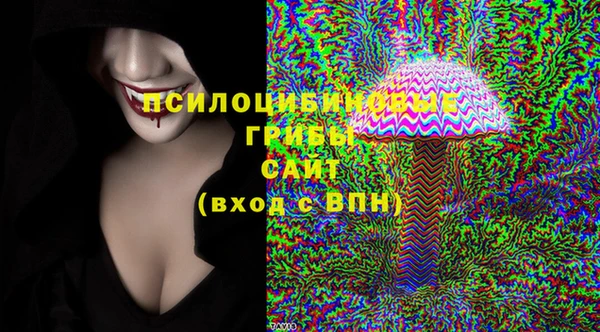 PSILOCYBIN Беломорск